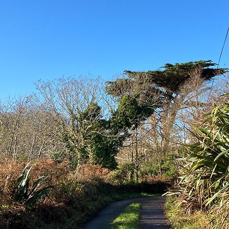 Ancaire Cottage Kilbronogue. Schull Exterior foto